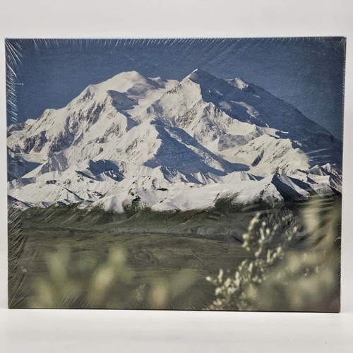 Vintage mount mckinley 500 - mount,