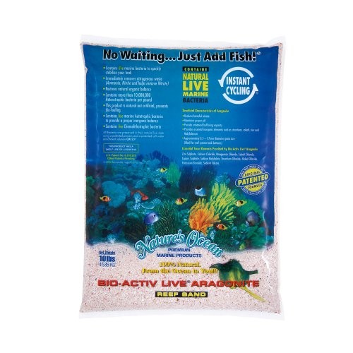 Natures ocean live aragonite - ocean,