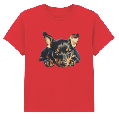 Miniature pinscher puppy dog - miniature,