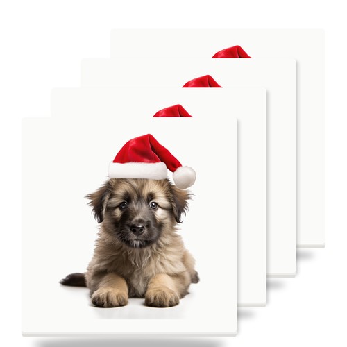 Pyrenean shepherd puppy - shepherd,