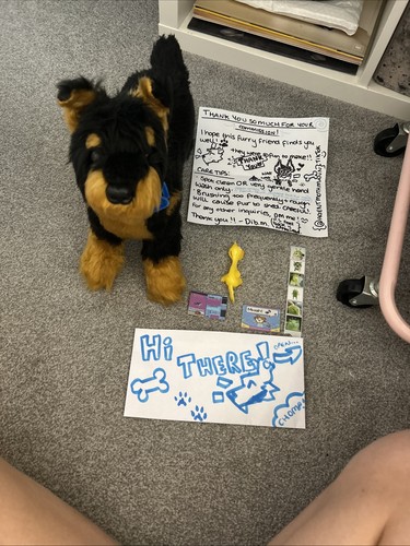Custom made doberman plushie - doberman,