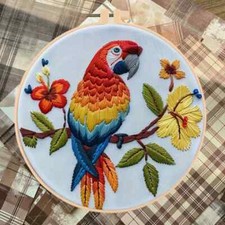 Beautiful Colorful Parrot KIT