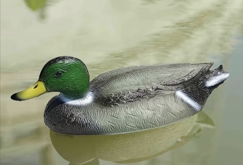 Realistic plastic pair - plastic, duck