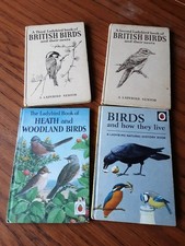 Vintage Ladybird Bird Books x 4 -- BUNDLE ●SEE DESCRIPTION ●