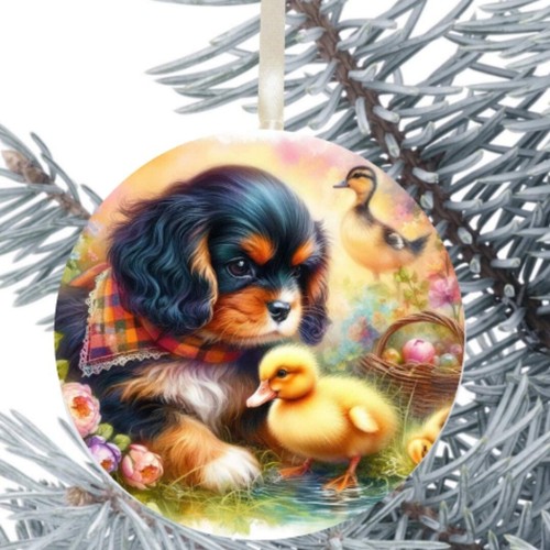 King charles cavalier spaniel - king,