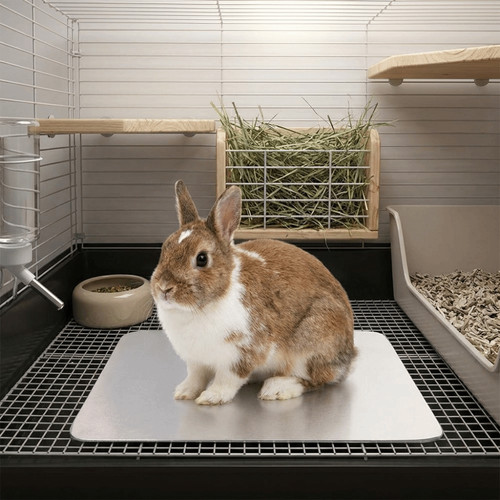 Hamster rabbit cooling mat for - rabbit,