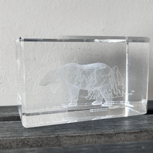 Laser etched holographic - 3d,