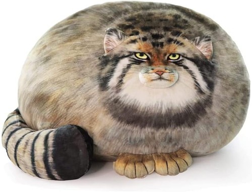 Xiaohong chubby steppe - xiaohong,