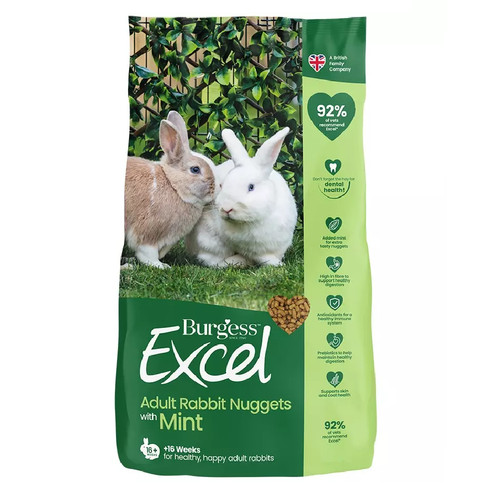 Excel adult rabbit - adult,