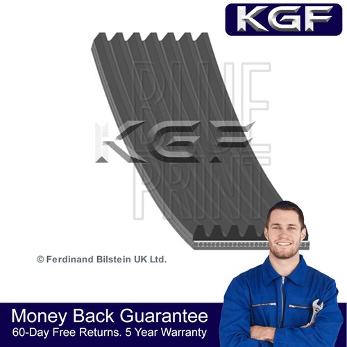 Kgf alternator belt fits - alternator,