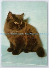 D338311 Cat. Grafiche Biondetti. Verona