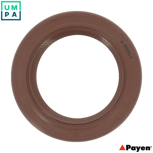 Shaft seal crankshaft - shaft,