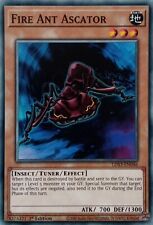 LDS3-EN046 FIRE ANT ASCATOR