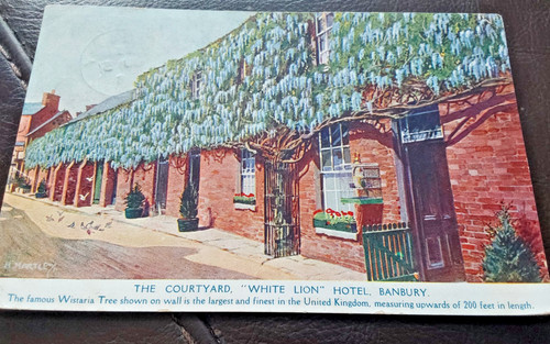 Banbury the courtyard white - banbury.,