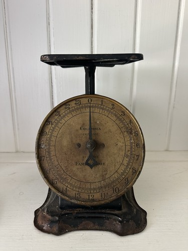 Antique columbia family - family, scale