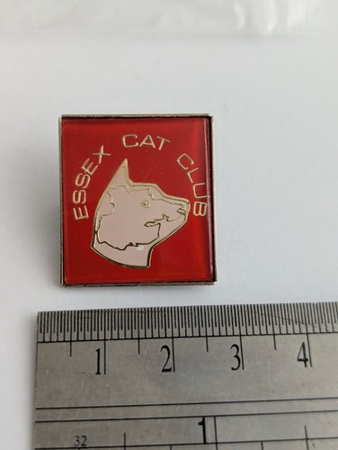 Essex cat club vintage - essex,