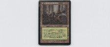 MTG - Hickory Woodlot ~