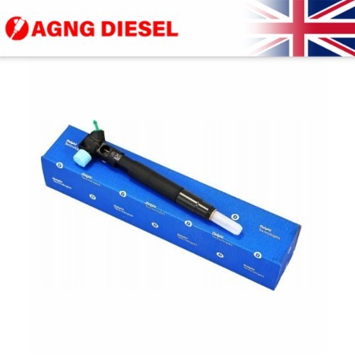 Delphi fuel injector - fuel,