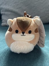 Melzie The Brown Chipmunk