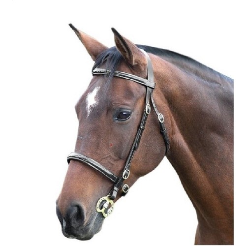 Blenheim fancy stitch - fancy,