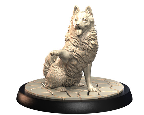 Dogs2 schipperke 2 - dogs2,