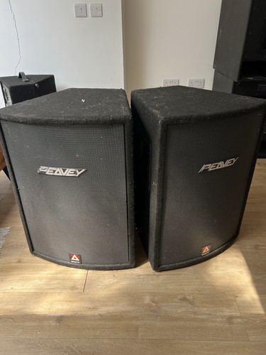 Peavey hisys speaker - rx,