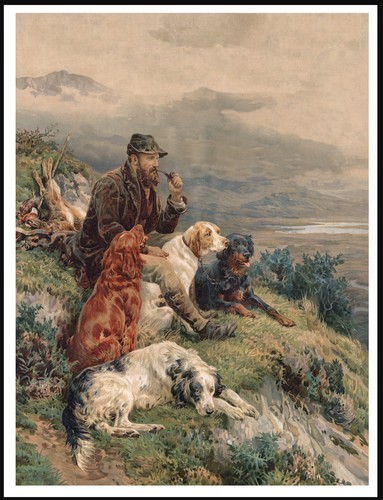 English irish gordon - english,
