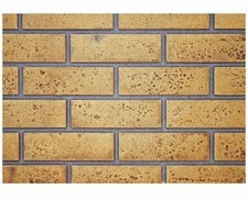 Napoleon DBPX42SS Sandstone