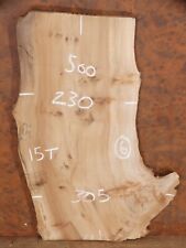 English Elm Live/Natural/Waney