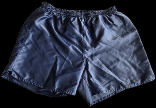 Pro touch nylon shorts - touch,