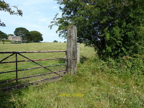 Photo 6x4 wooden railway gate - photo,