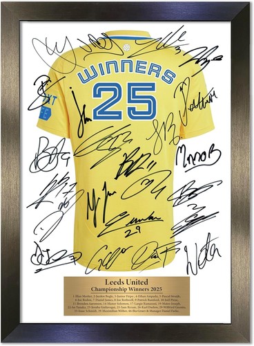 Leeds united championship - united,