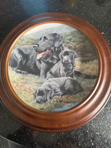 Black labradors plate - black,
