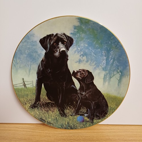 Royal doulton black labrador - doulton,