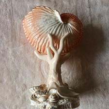 Royal Worcester Coral / White Bone China Nautilus Shell Vase Rare 6.5" 