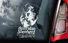 Australian Shepherd Car