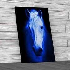 Lovely Horse Staring Blue