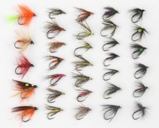 x24 - Box - Assorted BARBLESS