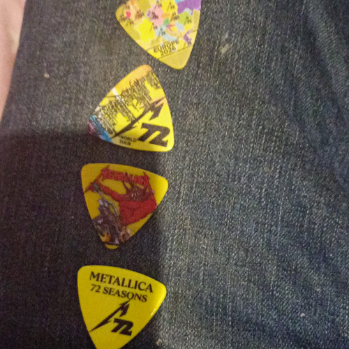 Metallica seasons guitar - metallica,