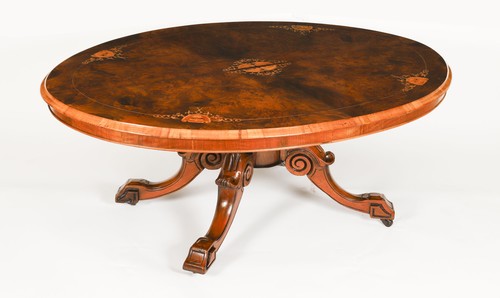 Antique burr walnut - antique,