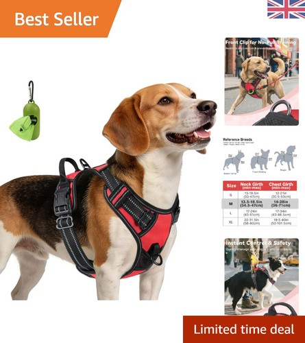 Soft padded reflective dog - padded,