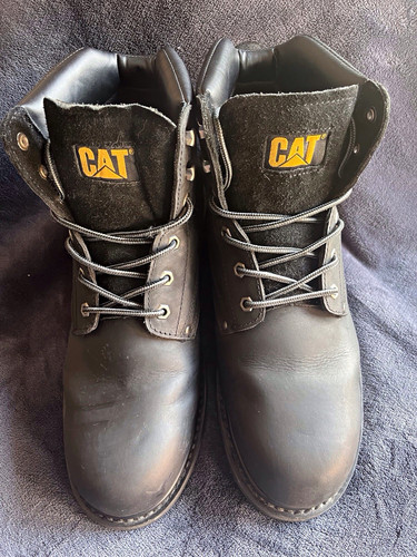 Cat black leather - cat,