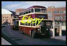 Bus Photo,  AEC Regent