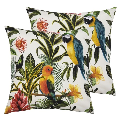 Evans lichfield parrots - evans,