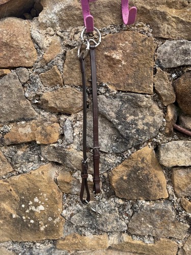 Lemieux running martingale - lemieux,