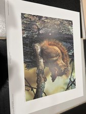 Carl Brenders - Picnic Perch -