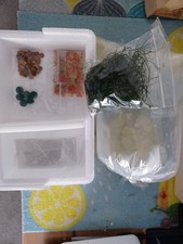 Green  Java Moss £10.00