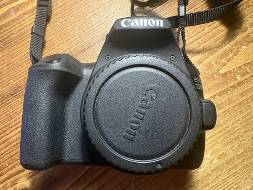 Canon eos 250d - 24.1mp, dslr