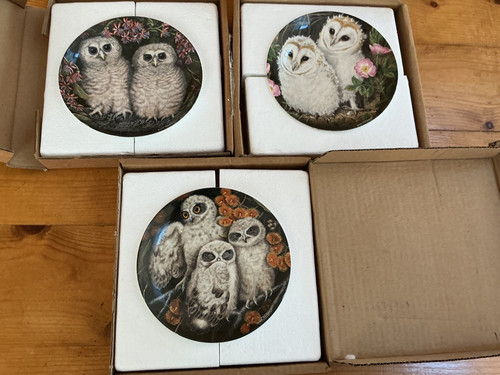 Wedgwood plates - wedgwood,