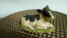 Border fine arts Sitting Calf